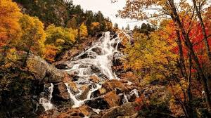 Там его называют индейским летом, mais c'était tout simplement un automne. L Ete Indien Un Phenomene Aux Origines Floues Radio Canada Ca