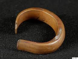 Image result for Melastomastrum segregatum