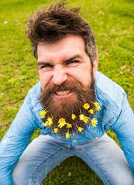 493 Hipster Long Beard Flowers Stock Photos