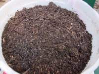 It also contains forest products, sand, and perlite to help prevent. Making Your Own Cactus Soil What Type Of Soil Should I Plant My Cactus In Inevitably The Newcomer To Growing Cacti Will Be Faced With This Question It Is An Appropriate Question To Ask As Succulent Plants Like Cactus Are Not Designed To Grow Under The