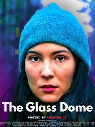 Swedish crime drama series