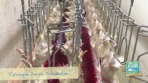 (sendirian berhad) sdn bhd malaysia company is the one that can be easily started by foreign owners in malaysia. Stokis Ayam Ladangku Seremban 28 804 Taman Tunku Kurshiah Seremban 2021