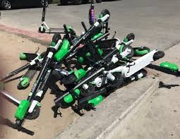 San diego bees only carries out live bee removals in the san diego and surrounding area. Remember Those Guys Impounding Scooters Lime And Bird Are Suing Them The San Diego Union Tribune