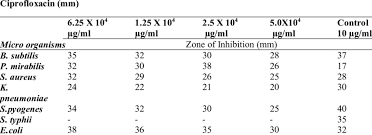 Image result for Lannea humilis