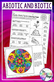 Biotic Factors In The Amazon Rainforest Pin On Science Color By Number