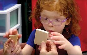 MedEd Connections Resource Guide: Blind and Visually Impaired (B/VI)