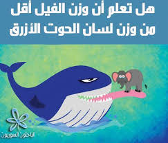 ويصل حجم لسان الحوت الأزرق إلى ما يساوي حجم فيل، أما حجم قلبه فيساوي حجم سيارة صغيرة. Ø§Ù„Ø¨Ø§Ø­Ø«ÙˆÙ† Ø§Ù„Ø³ÙˆØ±ÙŠÙˆÙ† ÙˆØ²Ù† Ù„Ø³Ø§Ù† Ø§Ù„Ø­ÙˆØª