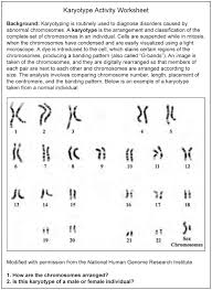 Karyotype Analysis Activity A Constructivist Learning Design