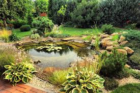 Image result for garden pond ideas