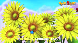 Dihalaman rumahku darilah pagi hingga kepetang tak jemu ku memandang. Koleksi Lagu Kanak Kanak Bunga Matahari By Upin Dan Ipin Facebook