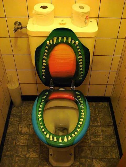 Mga resulta ng larawan para sa strange toilet bowl"