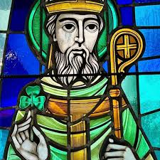 Saint Patrick, Bishop