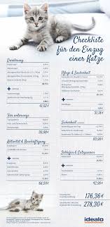 Ubersicht Und Checkliste Fur Die Erstausstattung Einer Katze Katzen Katzen Infos Alles Fur Die Katze