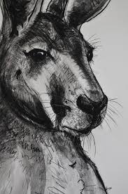 Portrait Of Kangaroo A New Collection Of Large Drawings Dedicated To The Australian Kangaroo By Michael Chorney Kangaroo Art Koala Drawing Kangaroo Drawing