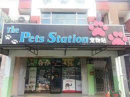We connect pet owners with pet stores and pet service providers throughout the live animals: The Pets Station Pet Service Ulu Tiram Johor Malaysia 2 Reviews 746 Photos Facebook
