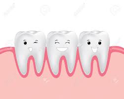 Teeth game too strong funny teeth meme image. Dental Cartoon Vector Teeth With Gum Royalty Free Cliparts Vectors And Stock Illustration Image 57158156