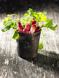 Some edibles, such as leafy greens, can grow in bright windowsills indoors, but in areas with less natural light, you'll need grow lamps for a good harvest. Everything About Growing Radishes In Containers Pots