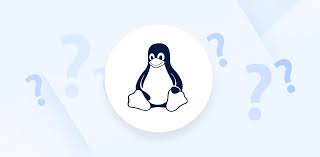 What is Linux? | Internxt Blog
