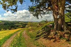 Sauerland Germany Travel Landscape Germany
