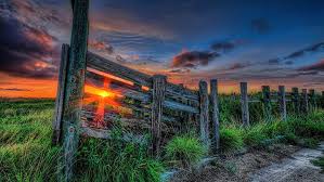 Download hd hd nature wallpapers best collection. Hd Wallpaper Widescreen High Resolution Nature Hd 1920x1080 Wallpaper Flare