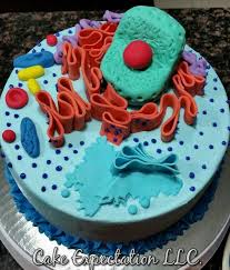 The austin city limits music festival in austin, texas not only includes music, markets, and food, but they also feature an area just for kids. 19 Cell City Project Ideas Cells Project Edible Cell Edible Animal Cell