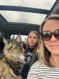 DriveUpPups needs to be a thing. Facebook, unite. Let's see some dogs!