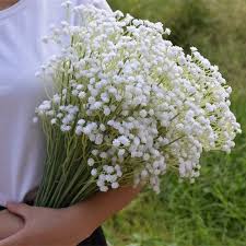 6 bundles 19.7'' artificial baby breath flowers babies breath flowers bush fake gypsophila bouquets artificial gypsophila flowers for wedding bridal party diy home floral arrangement decor(orange) 4.1 out of 5 stars 62 Buy 6 Bundles Artificial Baby Breath Flower Gypsophila White For Wedding Photo Props Home Decor At Affordable Prices Free Shipping Real Reviews With Photos Joom