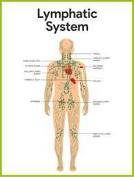 Pin On Nursing School And Study Guides
