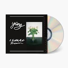 Image result for Vermillion 1991 Tempo