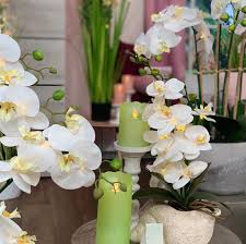 New The 10 Best Home Decor With Pictures Kunstliche Orchideen Die Bezaubernd Echt Aussehen Und Decor Interior Design Interior Design Studio Decor Design