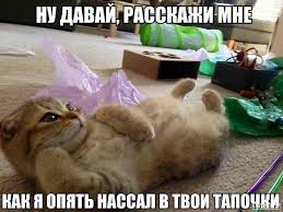 Проект бюджета на 2019 год сохраняет все программы развития, - Гройсман - Цензор.НЕТ 1631