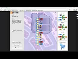What happens to the newly made mrna molecule following transcription in the nucleus? Rna Protein Synthesis Gizmo Activity B Youtube