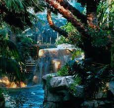 Tropical Rainforest At The Mirage Las Vegas Trip Las Vegas Vacation Vegas Vacation