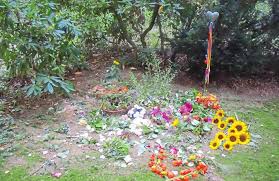 Manche angeblichen hausmittel gegen erkältung und grippe funktionieren aber leider nicht. Rehe Auf Dem Waldfriedhof Lauheide Da Helfen Nur Stinktier Dufte Munster Westfalische Nachrichten