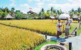 Rumah makan bebek tepi sawah di bali. Bebek Tepi Sawah Ubud Foto Lokasi Review Rute Fasilitas Befree Tour
