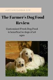 The Farmer S Dog Food Review Customized Fresh Dog Food Just For Your Dog Dog Food Reviews Dog Food Recipes Best Dog Food