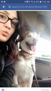 Lost dog in Flagstaff, Arizona area