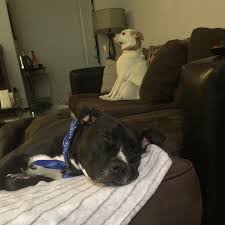 Daniel Scarr (@djscarr84) • Instagram photos and videos