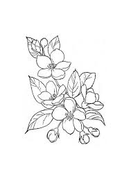 Flores Doodle Art Flowers Flower Line Drawings Flower Sketches
