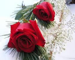 Beautiful love wallpapers, loving flowers free download images available in the best resolution in full size. Love Flower Wallpapers Wallpaper Cave