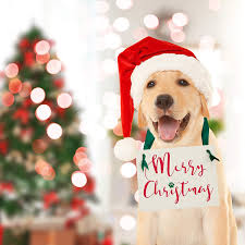 Shop and help an animal in need today! Holiday Gifts For Dog Moms Christmas Dog Themed Decor Merry Christmas Home Decor Signs Timeglobaltech Com