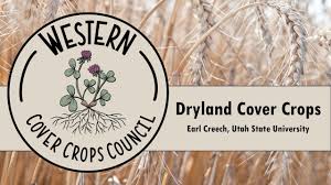 Field Tours: Dryland Organic Wheat in Utah