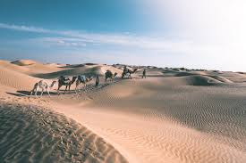 Clear improvement in the time taken by travelers at. Desert De Tunisie Depuis Douz Quelle Excursion Dans Le Sahara Tunisien