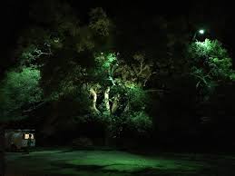 The Benefits Of Moonlighting For Your Outdoor Space Landscape Lighting
