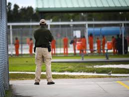 Records may include photos, original documents, family history, relatives, specific dates, locations and full names. Ice Detention By Private Prison Companies Expands Under Trump