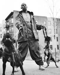 Download free dmx wallpapers for your desktop. Dmx Dog Wallpaper Kolpaper Awesome Free Hd Wallpapers