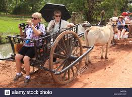Tourists In Ox Chart Stock Photo 50749308 Alamy