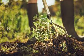 Les Astuces Pour Bien Entretenir Son Jardin