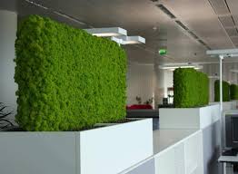 They can be bought with cuttings as a diy kit our without cuttings as just. Diy Moss Wall Kit Moss Wall Art Forest Homes