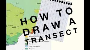 How To Draw A Transect Geo Skills